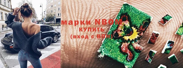 PSILOCYBIN Алзамай