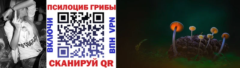 Галлюциногенные грибы Psilocybine cubensis  Алейск 